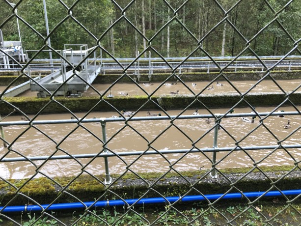 KWB wandelweekend Monchau 2021