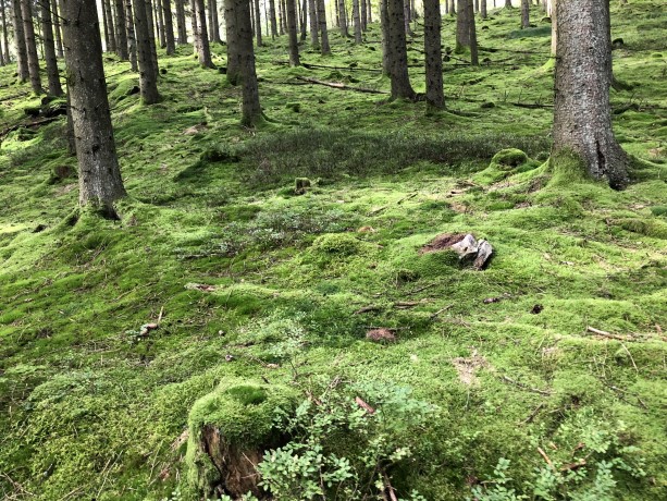 KWB wandelweekend Monchau 2021