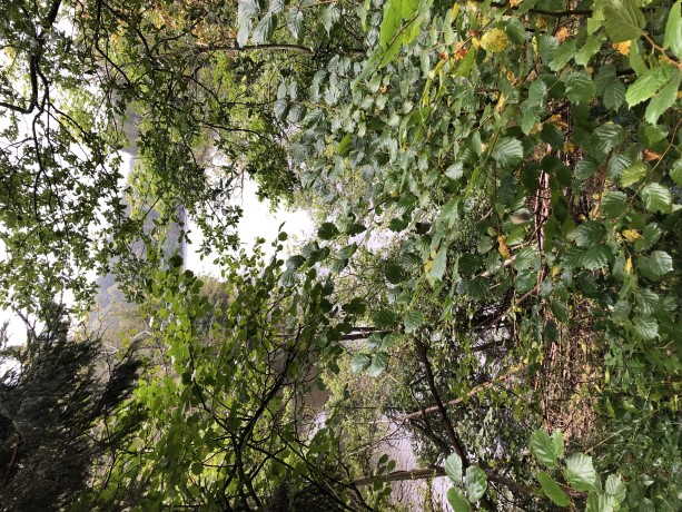 KWB wandelweekend Monchau 2021