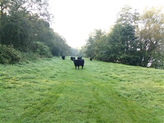 KWB wandelweekend Arcen 2023
