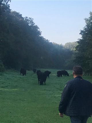 KWB wandelweekend Arcen 2023