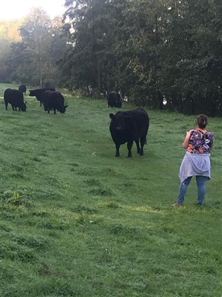 KWB wandelweekend Arcen 2023
