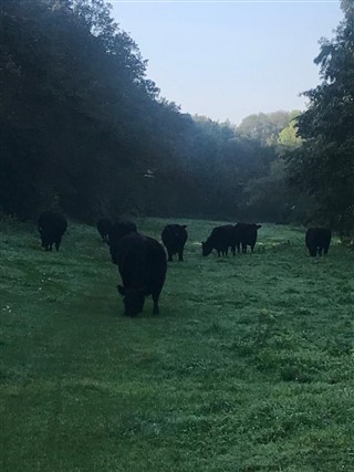 KWB wandelweekend Arcen 2023