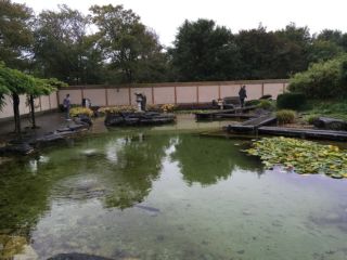 KWB wandelweekend Mariakerke 2019