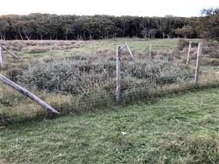 KWB wandelweekend Osstkapelle 2022
